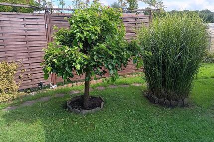 Bauland - Sofortige Bebauung möglich - Bischofswerda