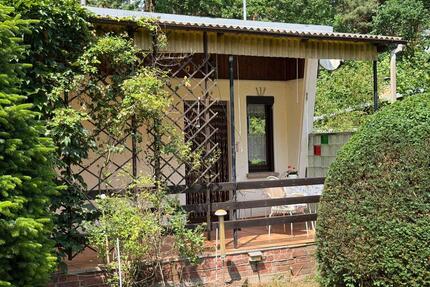 Gepflegtes Wochenendgrundstück mit Bungalow in ruhiger Waldlage - Kemberg