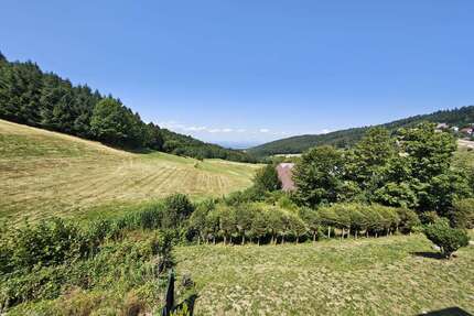 Wohnung zum Kaufen in Sasbachwalden (Brandmatt) 119.000,00 € 57.43 m²