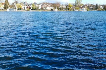 Frankfurt: Schöne, helle 3ZW Nähe Main, Park u. S-Bhf in 6-FH - Frankfurt am Main West