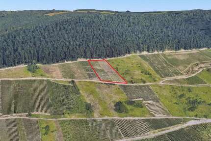 Grundstück zu verkaufen in Zell 10.000,00 € 2703 m²