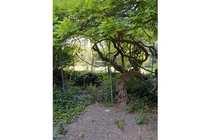 charmante Doppelhaushälfte - 400.000,00&nbsp;EUR Kaufpreis, ca.&nbsp; 125,00&nbsp;m&sup2; in Ludwigshafen am Rhein (PLZ: 67061) Parkinsel