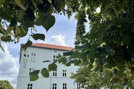 Wohnung zum Mieten in Eberswalde 1.305,00 € 86.69 m²