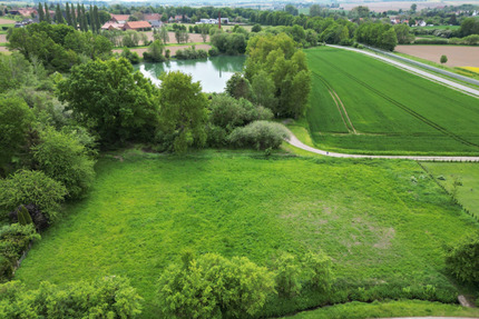 RUDNICK bietet: NATUR + 1A ANBINDUNG: 3 Grundstücke einzeln oder als Ganzes - Messenkamp