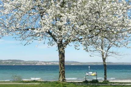 Frühling am Bodensee: FeWo in Konstanz für 2 Personen, beste Lage