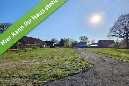 Haus zum Kaufen in Rodewald 375.070,00 € 133 m²