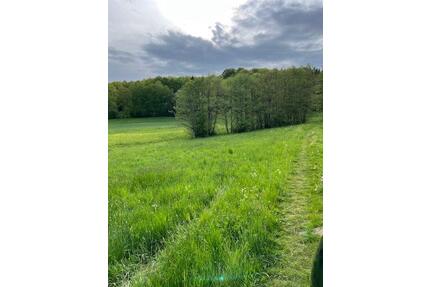 Wiese Bäume - 2.400,00&nbsp;EUR Kaltmiete, ca.&nbsp; 0,00&nbsp;m&sup2; in Hohenahr (PLZ: 35644)