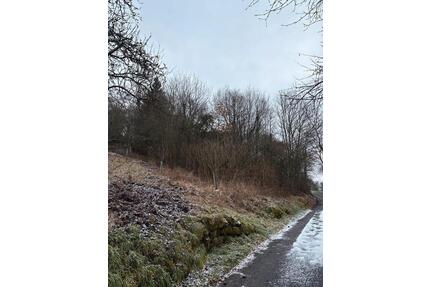 Naturgrundstück-Wald, vielseitig nutzbar, z.B. Brennholz - Berglen