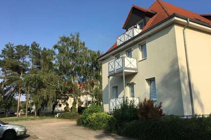 Wohnung zum Mieten in Klein Wanzleben 410,00 € 66.71 m²
