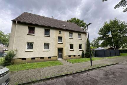 Wohnung zum Mieten in Gelsenkirchen 319,00 € 45.64 m²