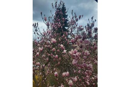 Großes Einfamilienhaus zu vermieten - Trostberg