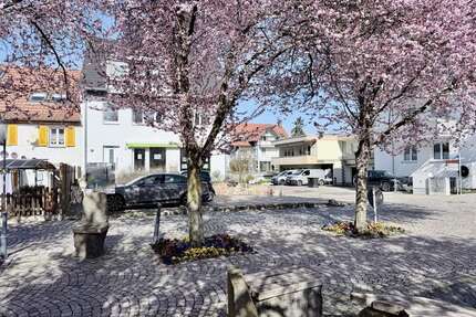 Haus zum Kaufen in Bad Krozingen 1.150.000,00 € 276 m²