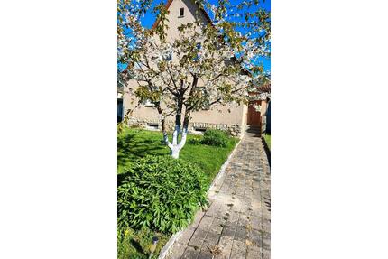 Freistehendes Einfamilienhaus - 59.000,00&nbsp;EUR Kaufpreis, ca.&nbsp; 105,00&nbsp;m&sup2; in Kindelbrück (PLZ: 99638)