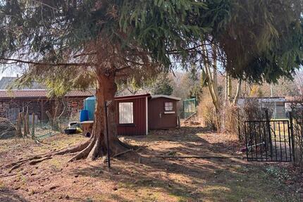 Garten 370qm - 650,00&nbsp;EUR Kaltmiete, ca.&nbsp; 0,00&nbsp;m&sup2; in Waltershausen (PLZ: 99880)