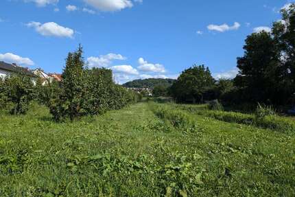 Grundstück zu verkaufen in Weinheim 429.200,00 € 464 m²
