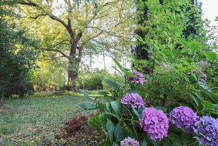 Grundstück in Velgast - Idyllische Lage mit Obstbäumen
