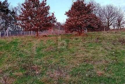 Grundstück zu verkaufen in Kinderbeuern 89.500,00 € 1404 m²