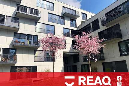 Wohnung zum Mieten in Aachen-Mitte 738,90 € 49.26 m²