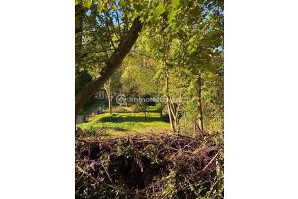 Schöner Bauplatz (Baulücke) und eine großzügige Fläche Gartenland 2.824m² in der Natur. 2 Flurstücke - Sondershausen / Schersen