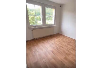 2 Raum Wohnung - 520,00&nbsp;EUR Kaltmiete, ca.&nbsp; 47,00&nbsp;m&sup2; in Meiningen (PLZ: 98617)