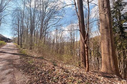 AUKTION: 0,8 ha Waldflächen - 5.000,00&nbsp;EUR Kaltmiete, ca.&nbsp; 0,00&nbsp;m&sup2; in Annaberg-Buchholz (PLZ: 09456)