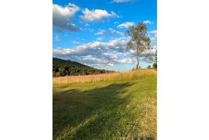Dauerstellplatz Campingplatz - 2,00&nbsp;EUR Kaltmiete, ca.&nbsp; 100,00&nbsp;m&sup2; in Forbach (PLZ: 76596)