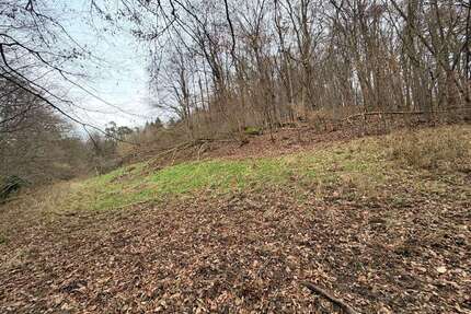 Grundstück in Johannesberg-Steinbach 19.500,00 € 4000 m²
