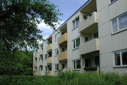 Schöne Wohnung in ruhiger, grüner Lage am Rande Mettenhofs - Melsdorf