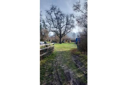 Gartengrundstück am Ehrenberg Leonberg