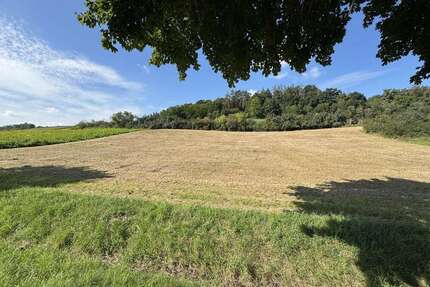 Grundstück in Weng 71.253,00 € 5481 m²