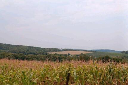 Haus in Russland - 78.000,00&nbsp;EUR Kaufpreis, ca.&nbsp; 100,00&nbsp;m&sup2; in Donauwörth (PLZ: 86609)