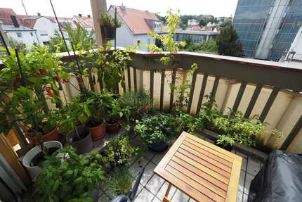 Wohnung zum Mieten in Freising 1.300,00 € 76.55 m²