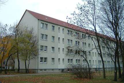 Wohnung zum Mieten in Finsterwalde 292,51 € 41.19 m²
