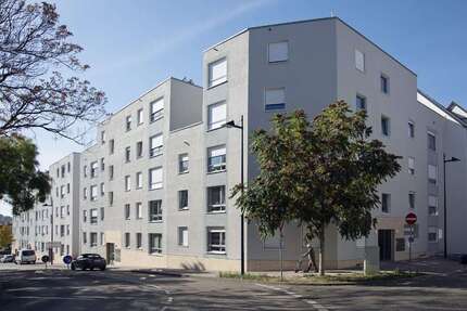 Wohnung zum Mieten in Lahr 1.070,00 € 97.01 m²