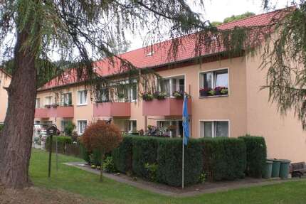 Wohnung zum Mieten in Diekholzen 406,00 € 55.89 m²
