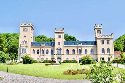 Wohnung zum Kaufen in Dresden 950.000,00 € 252 m²