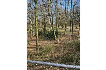 Wohnung in Gelsenkirchen Buer - 650,00&nbsp;EUR Kaltmiete, ca.&nbsp; 73,00&nbsp;m&sup2; in Gelsenkirchen (PLZ: 45897) Gelsenkirchen-Nord