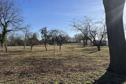 Grundstück zu verkaufen in Lübow 220.000,00 € 3655 m²