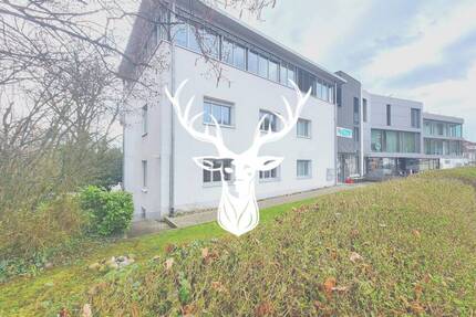 Komfortable & gepflegte 4-Zimmer Wohnung in Waldshut Grenznähe zu vermieten - Waldshut-Tiengen