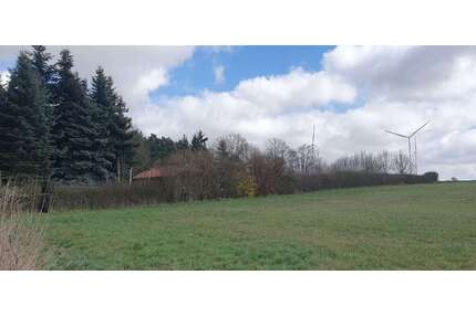 Grundstück zu verkaufen in Gem. BriesenOT Biegen 63.000,00 € 545 m² - Gem. Briesen/OT Biegen