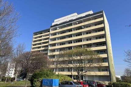 Wohnung zum Kaufen in Frechen 395.000,00 € 280 m²