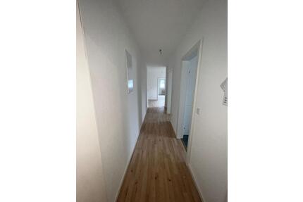 3 Zimmer Wohnung in Hamm Sieg ab sofort bezugsfrei - Hamm (Sieg)