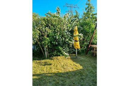 Garten in Rostock Westfriedhof abzugeben