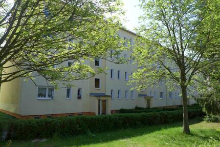 Bequem wohnen in grüner Lage - 290,00&nbsp;EUR Kaltmiete, ca.&nbsp; 50,85&nbsp;m&sup2; in Limbach-Oberfrohna (PLZ: 09212)