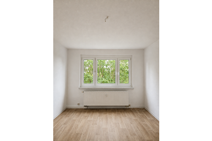 Wohnung zum Mieten in Döbeln 245,00 € 46 m²