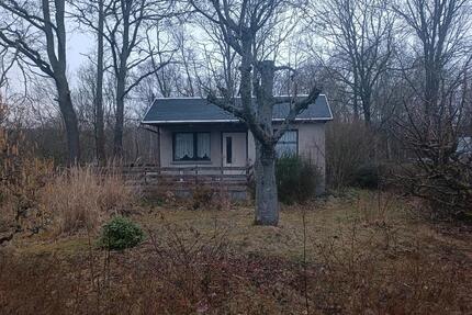 Pachtgarten, Kleingarten, Garten - Flöha