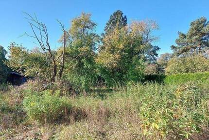 Im Alleinauftrag ! Viel Raum und Platz: Vielseitiges renovierungsbedürftiges Einfamilienhaus, zum kurzfristigen Bezug, - Schulzendorf