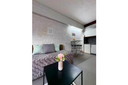 Möbilierte 1 Zimmer Wohnung in Nienburg an der Weser - Neustadt am Rübenberge