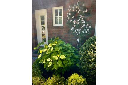 wunderschöne Design Ferienwohnung in Greetsiel - Last Minute - Krummhörn