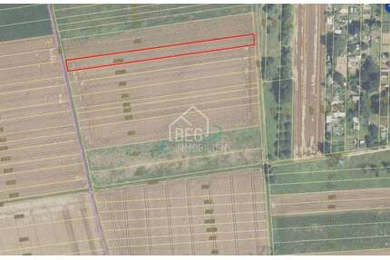 Grundstück zu verkaufen in Marbach 10.556,00 € 2639 m²